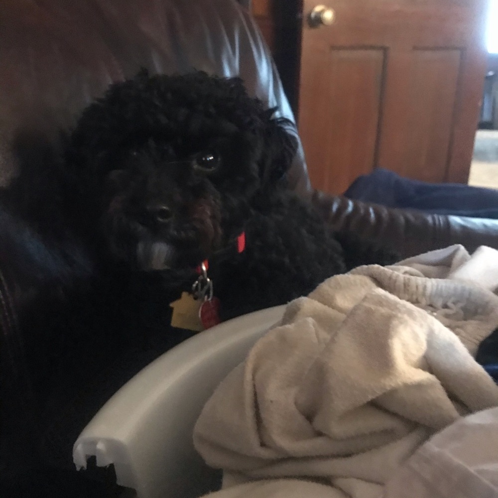 Meet your Posher, Alison